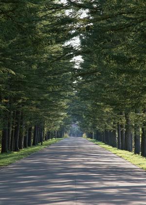 2025年最新！宿泊施設経営の成功戦略と効果的な対策法